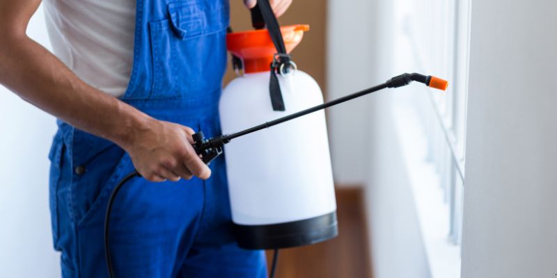 Como fazer dedetização em casa em Palmas