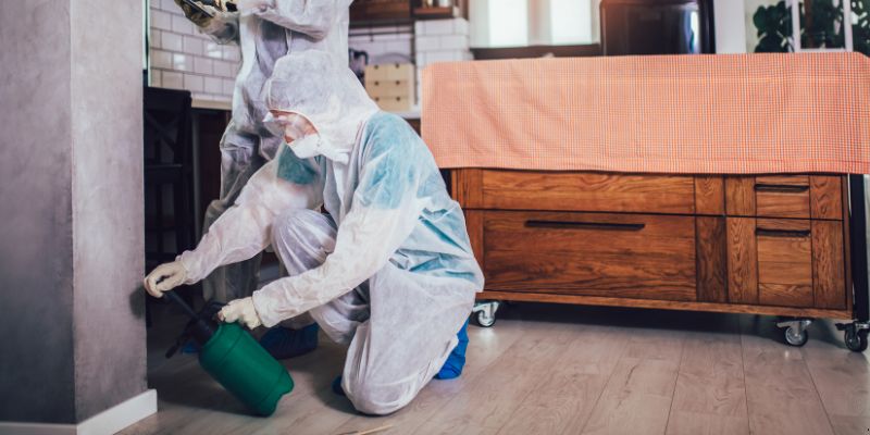 Dedetização em Apartamento Como Funciona em Palmas: Confira 4 Passos Dedetização em Apartamento Como Funciona em Palmas: Confira 4 Passos