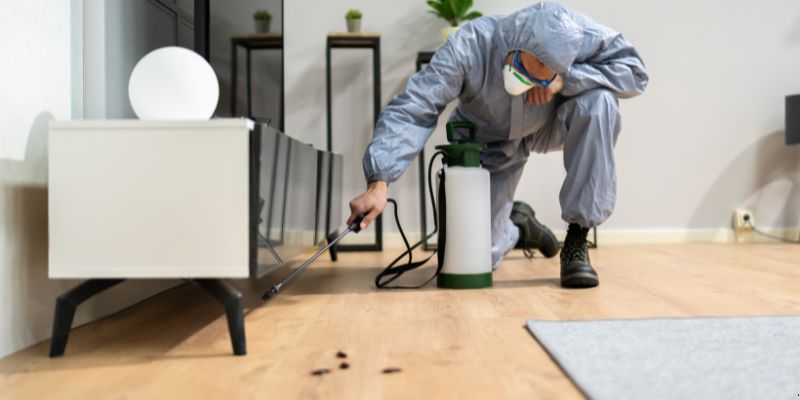 Quanto tempo dura uma dedetização em Palmas?